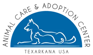 Cachorro raça Rottweiler idade 7 a 11 meses nome Jose Henrique Pasternak