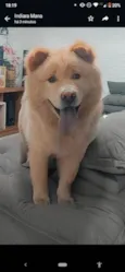 Zeus
