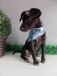 Julieta