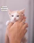 VICTOR
