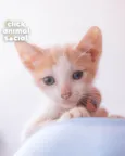 VICTOR