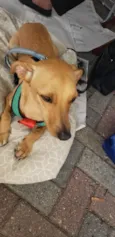 BELO