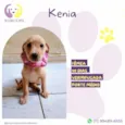 Kenia