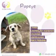 Popeye