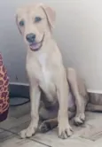 Marley 