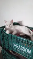 Ágata