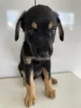 Felipinho