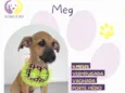 Meg