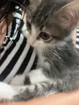 Fred (sem nome)