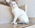 Suki bb2meses Linda
