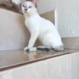 Suki bb2meses Linda