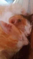 Bebelzinha e Trix