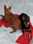 Thor e Spook