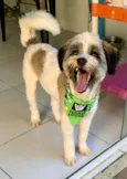 LUIGI