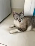 Oliver 11 meses muito bonzinho