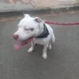 Máximo