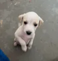 Felipe 