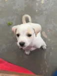 Felipe 