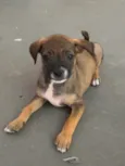 Flyca
