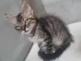 Monty