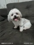 MEL