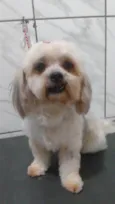 MEL