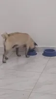 Bharto