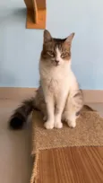 Ritinha