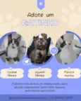 Cookie Pipoca Jujuba
