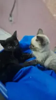-------