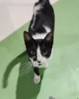 Império e Serrana