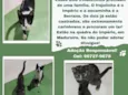 Império e Serrana