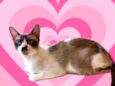 Amanda bb9meses Linda