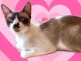 Amanda bb9meses Linda