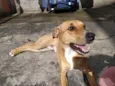 Duke