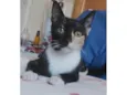 Kali