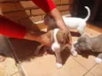 babies