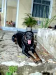 Lindão 