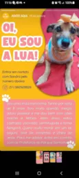 Lua