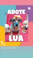 Lua