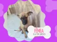 Magrela 