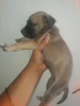 Lua e sol
