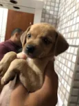 Bruce