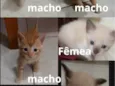 Sem nome