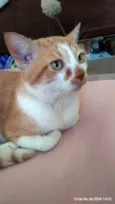 Oliver