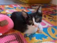 Jaqueline