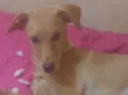 Mel