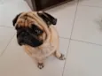 Mel 