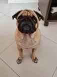 Mel 