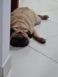 Mel 
